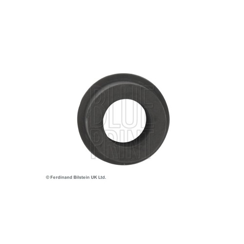 Blueprint rear leaf - blueprint,